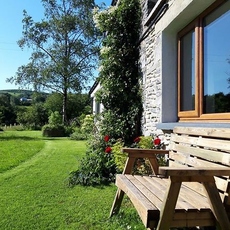 Nant Yr Onnen B&B And Holiday Cottage Tregaron Exteriér fotografie