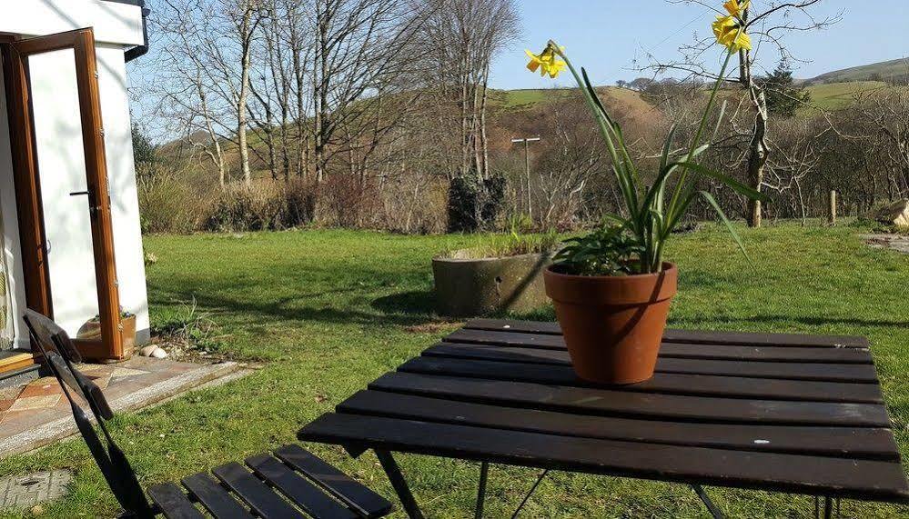 Nant Yr Onnen B&B And Holiday Cottage Tregaron Exteriér fotografie