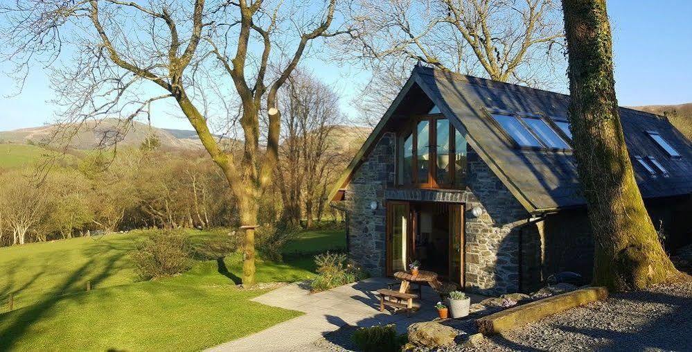 Nant Yr Onnen B&B And Holiday Cottage Tregaron Exteriér fotografie