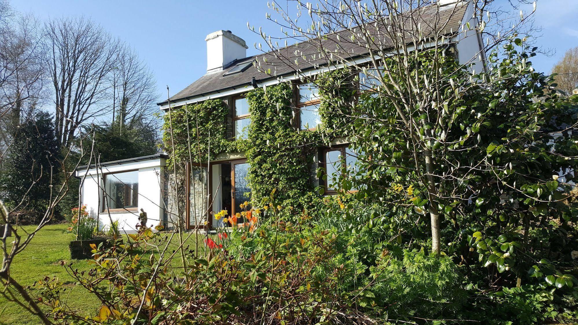 Nant Yr Onnen B&B And Holiday Cottage Tregaron Exteriér fotografie