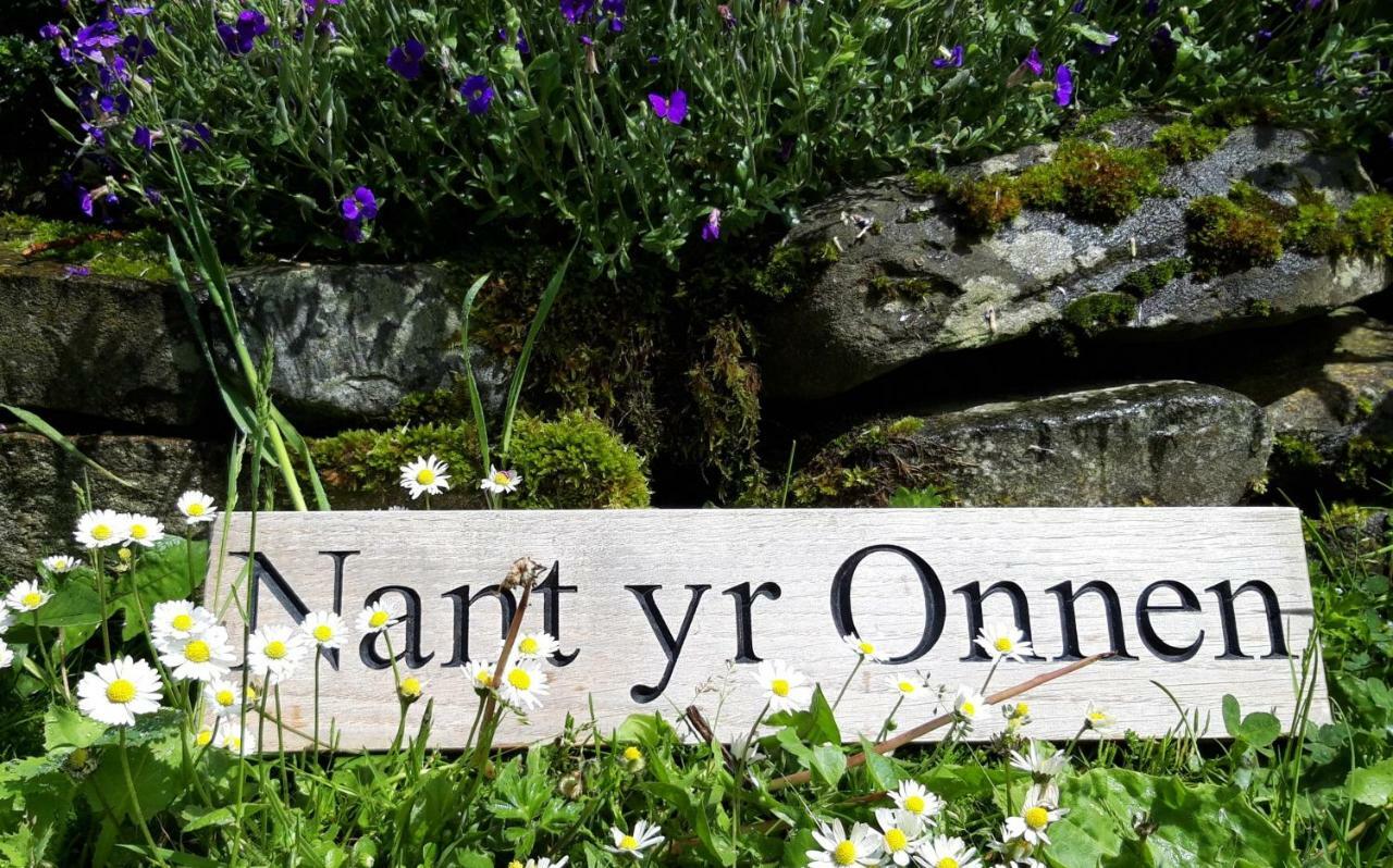 Nant Yr Onnen B&B And Holiday Cottage Tregaron Exteriér fotografie